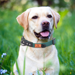 Gran oferta de correas y collares de perro de cuero Pu con logotipo personalizado, conjunto de <span class=keywords><strong>collar</strong></span> y correa para perros pequeños de Pvc suave para mascotas - Product Image 4