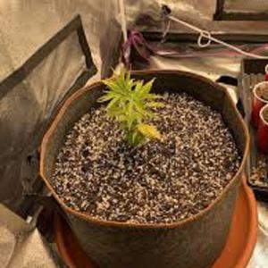 Sac de culture pour fraises en feutre épais et durable pour jardin domestique avec poignée - Product Image 6