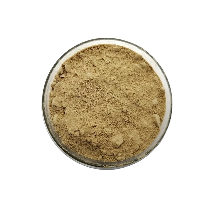 Nut Enzyme For Dried Fruit Crisp Agent
