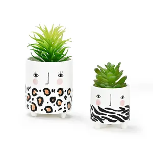 Hand painted Animal Print plant pot ceramic succulent planter flower pot