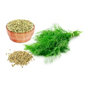 Épice aromatique naturelle de graines de fenouil de haute qualité utilisée pour la préparation des aliments et l'amélioration de la saveur dans les repas réguliers - Product Image 5