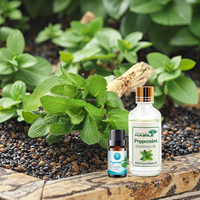 Huile essentielle de menthe poivrée 100% pure naturelle en vrac, huile à barbe à la menthe poivrée, diffuseur pour aromathérapie, cosmétique