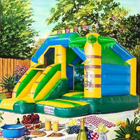 Toboggan aquatique gonflable pour enfants Doctor Dolphin NT-63009, prix de gros avantageux, petit modèle en PVC, installation facile, capacité 3 personnes/135 kg