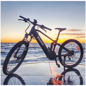 Accolmile enduro ebike 중반 드라이브 Bafang 750w 전자 자전거 48V 전기 사이클 성인 전기 전체 서스펜션 자전거