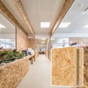 Trực tiếp bán buôn của bảng <span class=keywords><strong>osb</strong></span> với giá thấp và cấu trúc ổn định không thấm nước (định hướng Strand board) cấu trúc Strand Board - Product Image 2