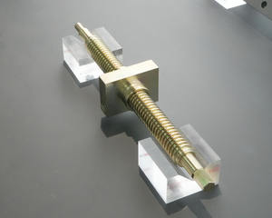Precisie RVS Trapeziumvormige Gewindstang met Messingmoer, Gewalst Draad, 1 Jaar Garantie voor Freesmachine - Product Image 3