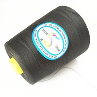 Fils à broder en cônes écologiques haute ténacité faible rétrécissement 40s/2 5000 yards 100% polyester filé certifié Oeko-Tex pour la couture
