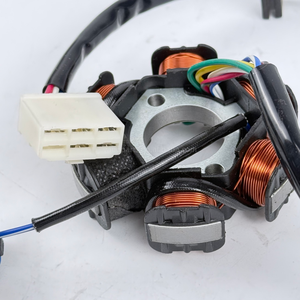 Bobine magnétique WANOU à 5 bobines, pièces détachées pour moteurs de <span class=keywords><strong>moto</strong></span>, bobine de stator magnétique pour <span class=keywords><strong>moto</strong></span> - Product Image 6