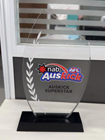 Trophée en acrylique personnalisé WeiVista pour compétition sportive, récompense de jeu avec logo gravé, fabricant d'usine