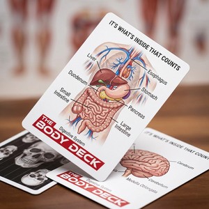 Cartas de Juego Educativas de Anatomía Humana con Diseño Original ZS-PC0062, Mazo de Referencia para Estudiantes y Minoristas en Línea - Product Image 2