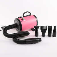 Sèche-cheveux professionnel pour animaux de compagnie à vitesse réglable en continu avec chauffage, idéal pour le toilettage canin (OEM usine)
