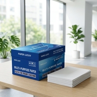 Papier Copie A4 100% Pâte de Bois 70g, 500 feuilles, 70g/m², 75g/m², 80g/m², Papier Copie A4 Robuste, Papier Imprimable, Papier Brouillon, Double Blanc, Papier de Bureau pour Imprimante
