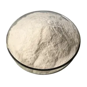 中国ISO厂家直供食品添加剂级散装壳聚糖粉85% 低价出售