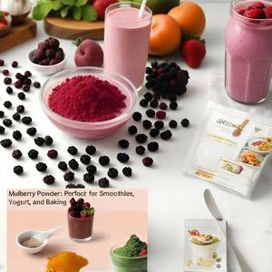 하이 퀄리티 천연 좋은 맛 동결 말린 뽕나무 분말 - Product Image 6