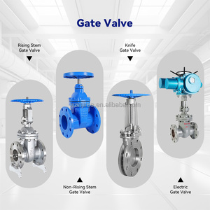 Cast Steel PTFE Lined Rising Stem Flanged Gate for Media Z41F46-16C Cast Steel / WCB Body With Full Fluoroplastic (FEP/F4 - Product Image 4