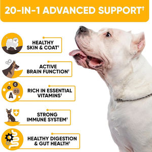 Evcil hayvan sağlık takviyeleri köpek Multivitamin yumuşak çiğniyor evcil hayvanınızın kaplamasını korumak için iştahı artırmak - Product Image 4