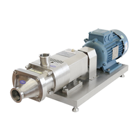 Pompe à double vis hygiénique en acier inoxydable haute pression électrique 220V/380V pour l'industrie alimentaire (chocolat, mélasse)