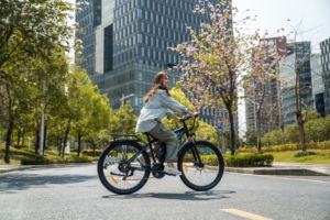 Bicicleta Eléctrica de Montaña Duotts C29 para Cross-Country con Cuadro de Aluminio y Motor en el Buje Trasero - Product Image 1