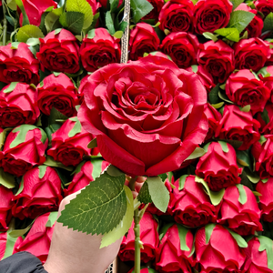 ورود صناعية حريرية فردية نابضة بالحياة عالية الجودة 55 سم للبيع بالجملة لتزيين المنزل والأفراح والمهرجانات - Product Image 2