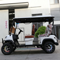 Carrito de Golf Eléctrico de 2/4/6 Plazas Directo de Fábrica |   Vehículo Eléctrico de Baja Velocidad para el Vecindario, Tipo Buggy de Golf, en Venta