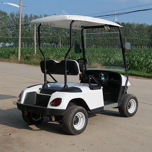 Voiturette de Golf Électrique Classique 2 Places Économique avec Batterie au Lithium/Plomb-Acide Personnalisable 48V/60V/72V - Product Image 6