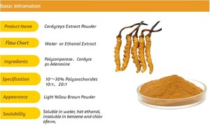 GANOHERB 유기농 동록하근 시넨시스 밀리타리스 추출물 분말 OEM 공장 USDA 인증 폴보 데 엑스트라토 데 히에르바 대량 공급 - Product Image 2