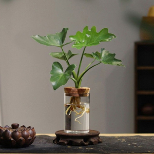 OEM <span class=keywords><strong>Terrarium</strong></span> Hydro ponic Pflanzen zylinder Vase Moos <span class=keywords><strong>Terrarium</strong></span> Wohnkultur Tischplatte <span class=keywords><strong>DIY</strong></span> Wald Pflanzer Glas mit Deckel für den Innenbereich - Product Image 3