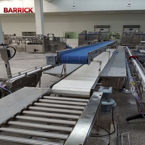 Barrick RVS Voedselveilig Kettingtransporteursysteem Op Maat & Snelheid Transportband voor Voedsel- en Drankenproductielijn - Product Image 4