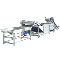 Maquina Lavadora De Fruta Machine à laver et à éplucher le manioc avec petite brosse à pommes de terre et au gingembre Inde