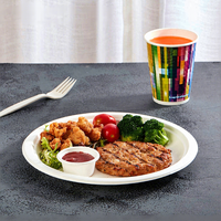 Assiettes en bagasse de canne à sucre fiables, résistantes à l'eau et à l'huile, biodégradables, écologiques, compatibles micro-ondes, pour les fêtes, la restauration et l'usage quotidien