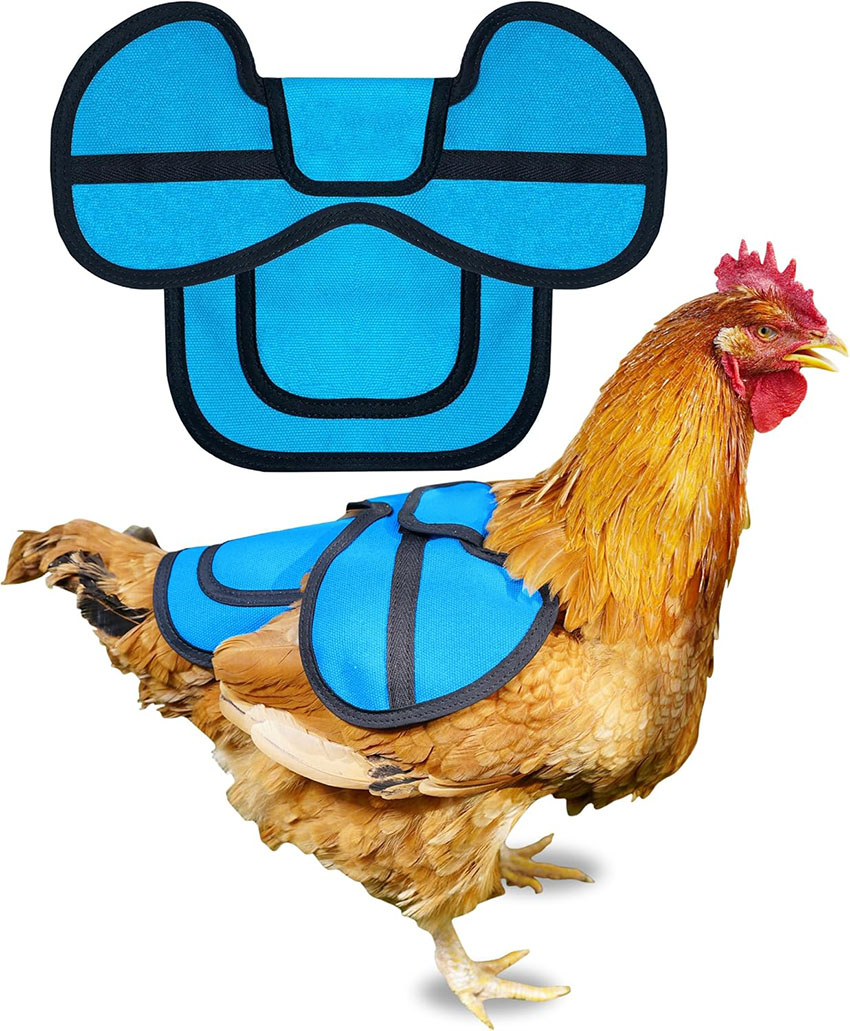 Bleu