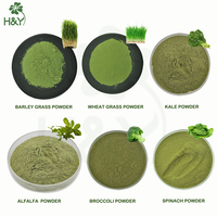 Mélange de super herbes super vertes en poudre