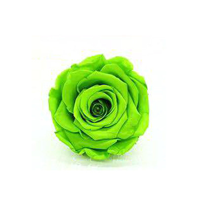 Vert clair