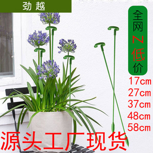 Estacas para Plantas Haihua para Suculentas y Orquídeas, Varillas de Soporte de Plástico Verde con Diseño de Gancho para Macetas y Plantas de Interior - Product Image 3