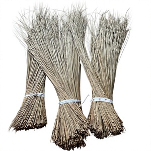Paquete de Escobas de Hoja de Coco para Limpieza de Jardín, Material Vegetal Seco de Fibra Natural - Product Image 1