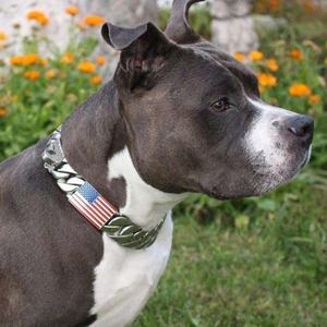Cadena de metal cubana de acero inoxidable personalizada, <span class=keywords><strong>collar</strong></span> para perro de diseño con bandera estadounidense, 2020 - Product Image 2