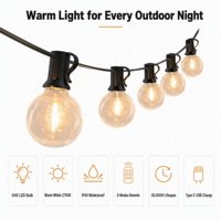 Guirlande lumineuse LED à ampoules en verre G40, alimentée par énergie solaire, AC 110V AC 220V DC 24V, multi-tension, éclairage décoratif extérieur pour jardin et patio