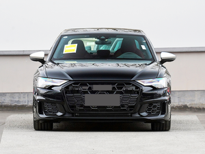 Nouvelle <span class=keywords><strong>calandre</strong></span> RS6 chromée en nid d'abeille en plastique pour <span class=keywords><strong>Audi</strong></span> <span class=keywords><strong>A6</strong></span> S6 C8 C8 PA 2019-2025 Facelift - Product Image 3