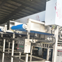 YOUBAN Automatische Fruitgewichtsorteermachine Appel Avocado Tomaat Gewichtsselectiemachine voor Fruitverwerkingslijn