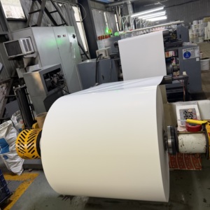 Rouleau de papier enduit de PE écologique, qualité alimentaire, recyclable, rouleau jumbo, taille personnalisée, OEM ODM pour la matière première des gobelets en papier pour boissons - Product Image 4