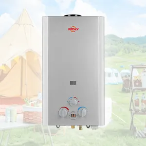 High Quality Portable LPG Natural Domestic 12L Propane Instant Hot Tankless Geyser Gas Water Heater For Outdoor Camping