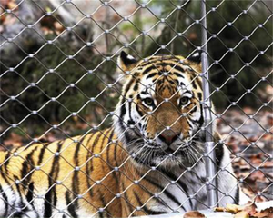 316 חוט נירוסטה חבל רשת קיר ירוק מעקה גן חיות בטיחות אוויריות ארוג מסך רכבת - Product Image 2