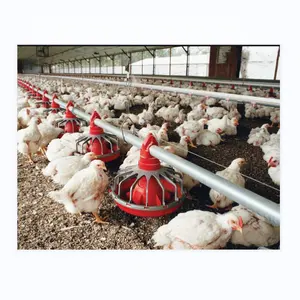 Equipamento para fazenda de aves domésticas, equipamento para fazenda de animais marido/aves para casa de galinha