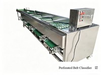 Citrus mango sorteermachine, industriële automatische rol sorteermachine voor fruit en groenten, roestvrij staal, hoge sterkte