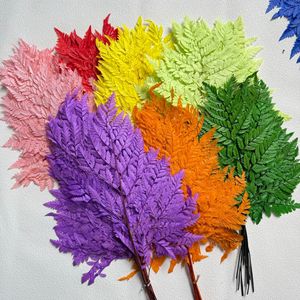 Foglie di Papparella Arachniodes Essiccate per Decorazioni di Bouquet Nuziali, Fiori Secchi - Product Image 1
