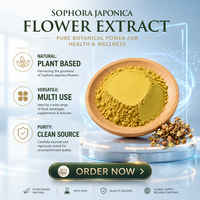 Ekstrak Bunga Sophora Japonica LongBio Bubuk Rutin Alami 95%-98% untuk Makanan, Minuman & Suplemen Diet OEM ODM