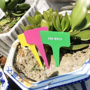 T形地卡园艺花卉蔬菜多汁植物标签防水颜色，加厚，地卡