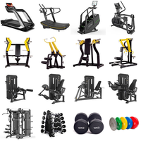 Série d'équipements professionnels de musculation à charge libre pour clubs de fitness commerciaux : machines à presser les pectoraux, les jambes et le dos