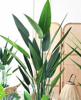 Linwoo Paradise Palm Plante Artificielle En Pot Certifié UV Faux Matériel Petite à Grande Taille Oiseau de Paradis Fleur Arbre