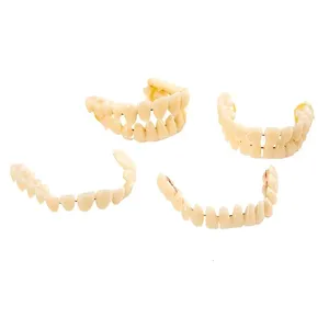 Juego de 28 Dientes de Resina Universales, Modelo de Dientes Postizos Duraderos, Material Dental para Enseñanza - Product Image 1